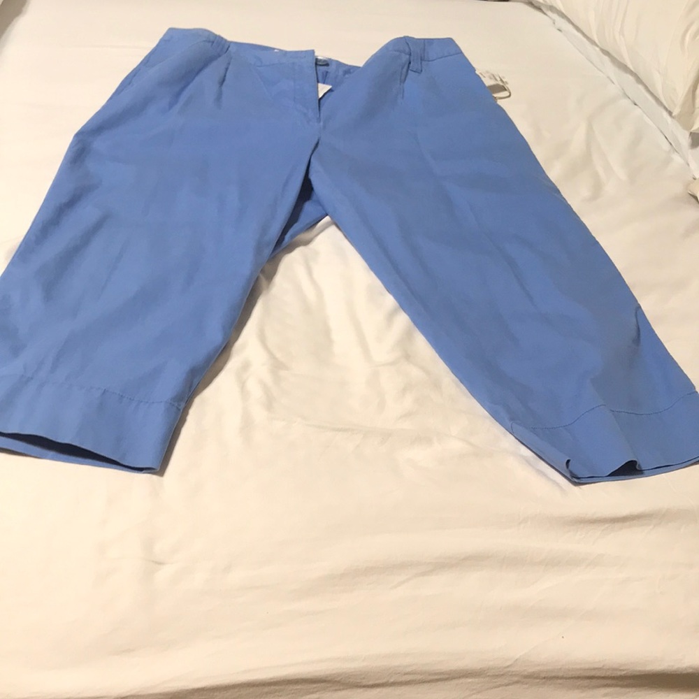New!Talbots classic fit ankle pants